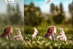 Alternative view of Portrait HDR Lightroom Presets Mobile & Desktop