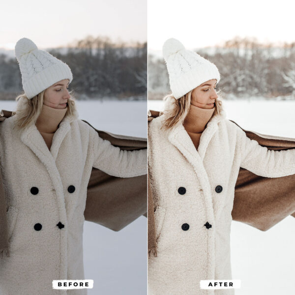 Winter Lightroom Presets - Image 3