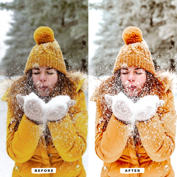 Snow Lightroom Presets - Image 5