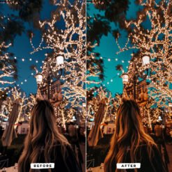 Alternative view of Moody XMas Lightroom Presets Christmas Filters