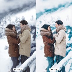 Alternative view of Winter Presets Lightroom