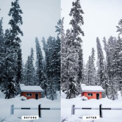 Alternative view of Rusting Winter Presets Lightroom