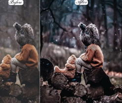 Portrait HDR Lightroom Presets Mobile & Desktop 21 4123 1