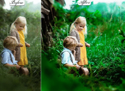 Portrait HDR Lightroom Presets Mobile & Desktop 22 43222