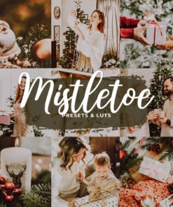 Mistletoe Presets Lightroom