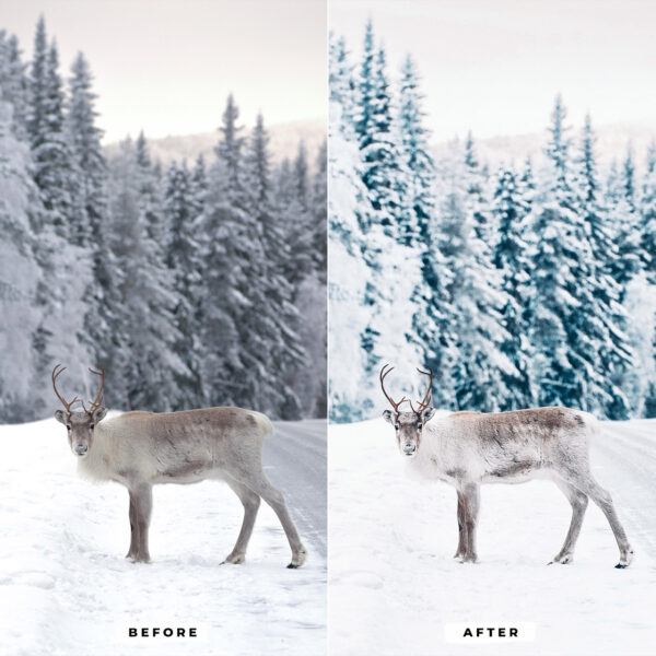 Winter Presets Lightroom - Image 7