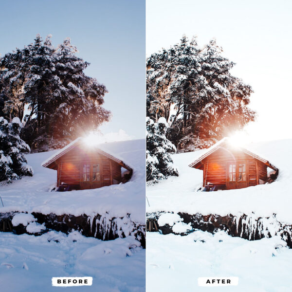 Winter Lightroom Presets - Image 5