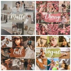 Alternative view of Influencer Bundle Lightroom Presets