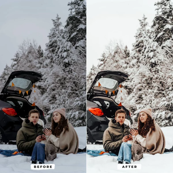 Winter Lightroom Presets - Image 4