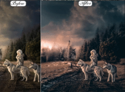 Portrait HDR Lightroom Presets Mobile & Desktop 17 52322