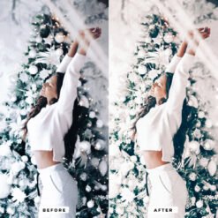 Alternative view of Snow White Winter Lightroom Presets