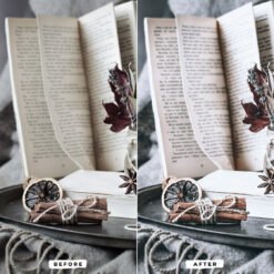 Alternative view of Gray Tones Presets Lightroom