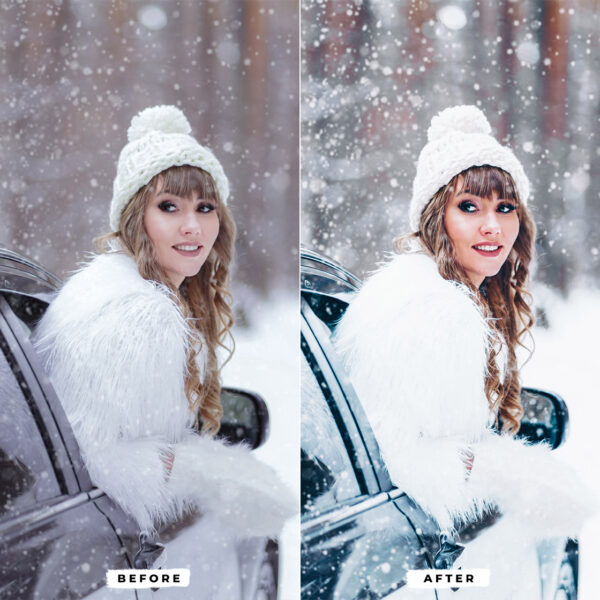 Winter Presets Lightroom - Image 6