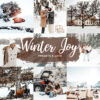 Winter Lightroom Presets