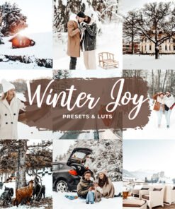 Winter Lightroom Presets
