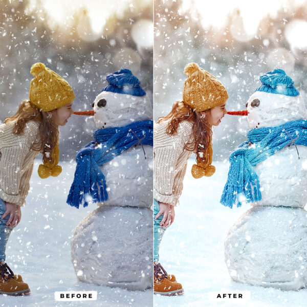 Snow Lightroom Presets - Image 4