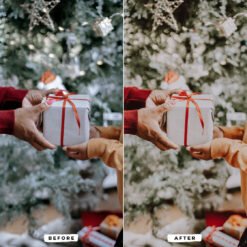 Alternative view of Mistletoe Presets Lightroom
