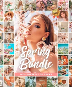 Spring Bundle Lightroom Presets