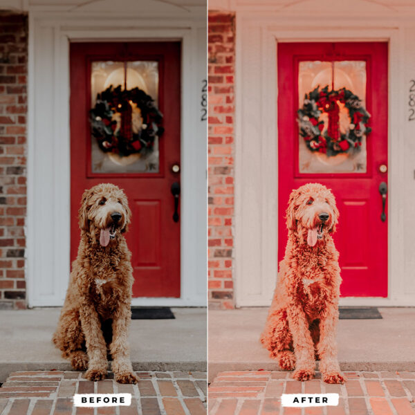 Cozy Xmas Lightroom Presets - Image 6