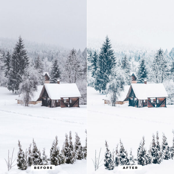 Winter Presets Lightroom - Image 4