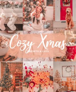 Cozy Xmas Lightroom Presets