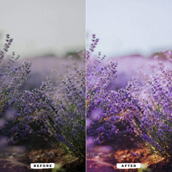 Lilac Lightroom Presets Mobile & Desktop - Image 7