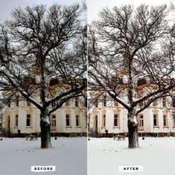 Alternative view of Winter Joy Lightroom Presets