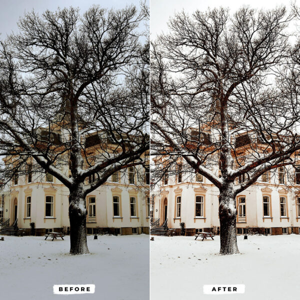 Winter Lightroom Presets - Image 2