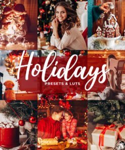 Holidays Christmas Presets Lightroom