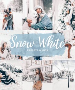 Snow White Winter Lightroom Presets