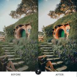 Alternative view of Forest Lightroom Preset