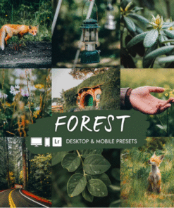 Forest Lightroom Preset