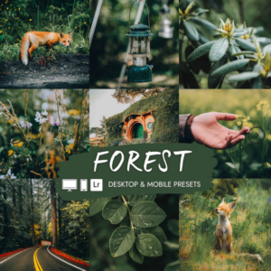 Forest Lightroom Preset