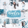 Winter Presets Lightroom