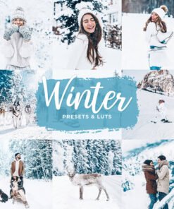 Winter Presets Lightroom