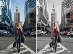 Alternative view of New York Lightroom Mobile Presets and Desktop Presets Black Urban Filter