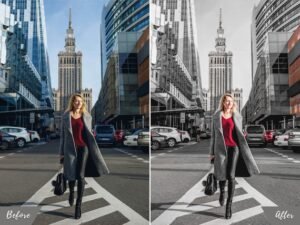 Alternative view of New York Lightroom Mobile Presets and Desktop Presets Black Urban Filter