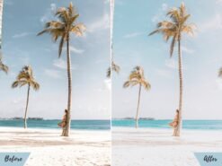 Alternative view of Beach Bliss Lightroom Mobile Presets Desktop Presets lifestyle presets