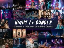 Night Lightroom Mobile Presets Desktop Presets Cinematic Night Presets City Night Presets