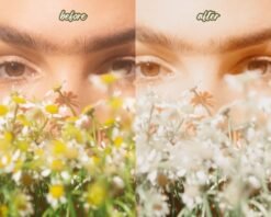 Airy Lightroom Presets Mobile and Desktop Minimal Spring Filters 9 il 570xN.4835429384 hboo