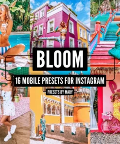 Bloom Travel Blogger Lifestyle Vibrant Instagram Lightroom Presets