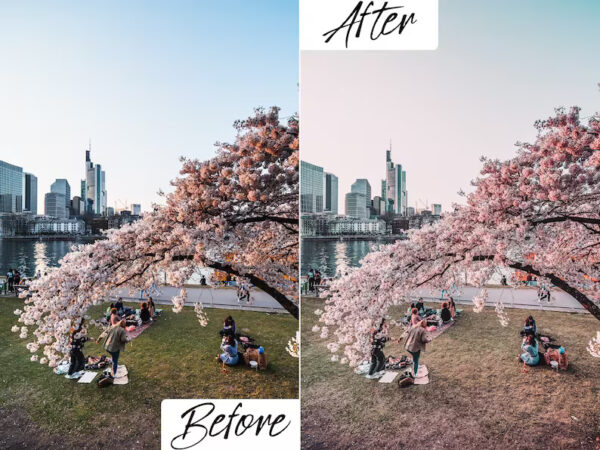 Cherry Blossom Lightroom Presets Mobile & Desktop - Image 4