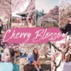 Cherry Blossom Lightroom Presets Mobile & Desktop