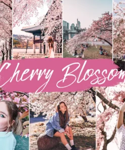 Cherry Blossom Lightroom Presets Mobile & Desktop