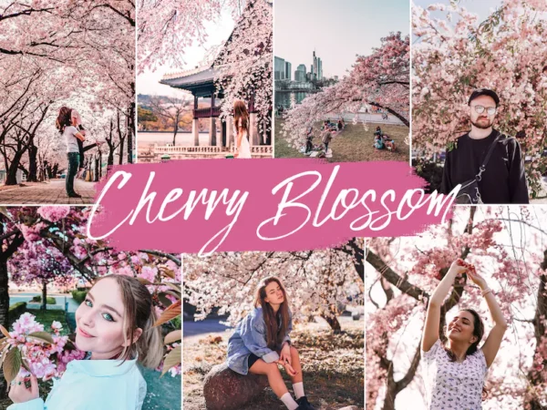 Cherry Blossom Lightroom Presets Mobile & Desktop