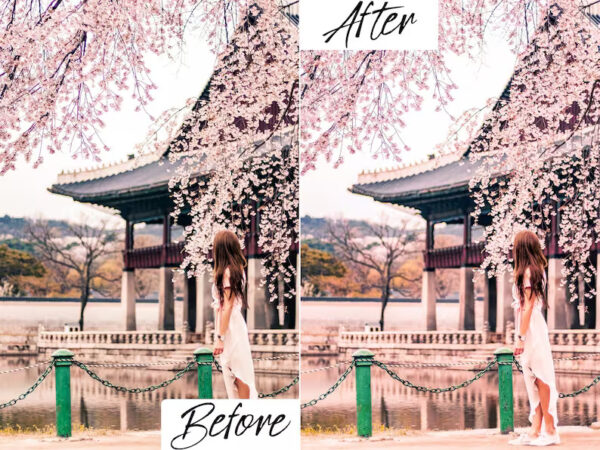 Cherry Blossom Lightroom Presets Mobile & Desktop - Image 3