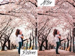 Alternative view of Cherry Blossom Lightroom Presets Mobile & Desktop