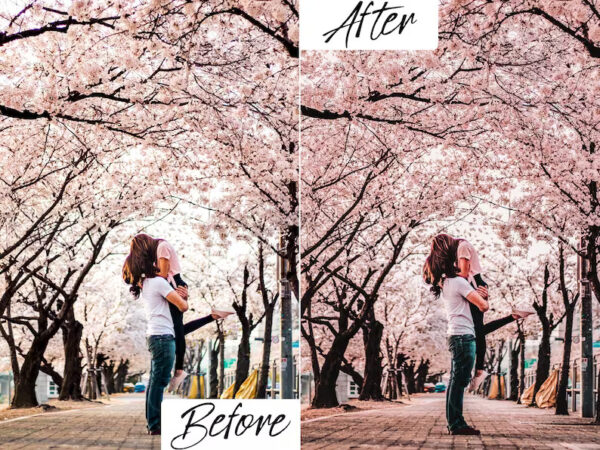 Cherry Blossom Lightroom Presets Mobile & Desktop - Image 2