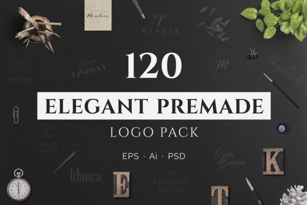 Elegant Logo Design Premade Logo Pack