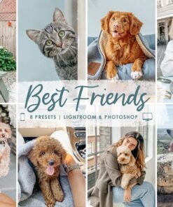 Puppy Dog Lightroom Presets Cat Pet Lightroom Presets Animal Presets